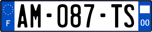 AM-087-TS
