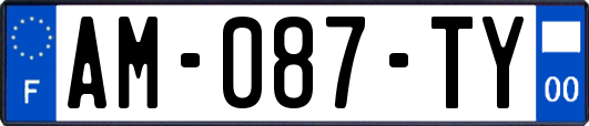 AM-087-TY