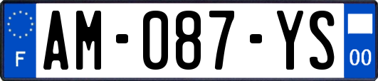 AM-087-YS