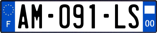 AM-091-LS