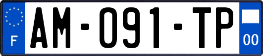 AM-091-TP