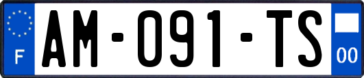 AM-091-TS