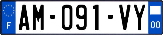 AM-091-VY