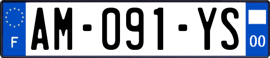 AM-091-YS