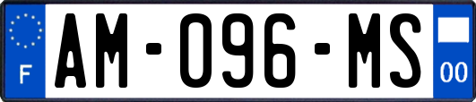AM-096-MS