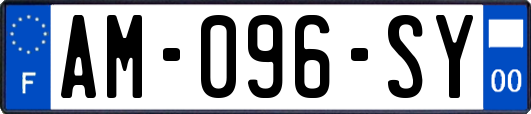 AM-096-SY