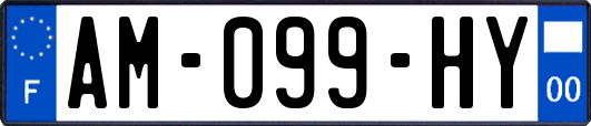 AM-099-HY