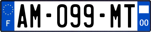AM-099-MT