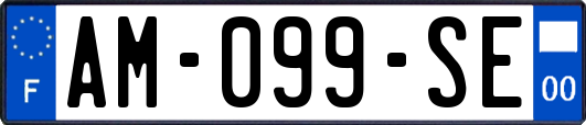 AM-099-SE