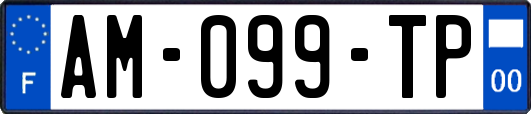 AM-099-TP