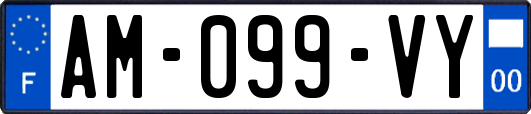 AM-099-VY