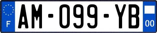 AM-099-YB