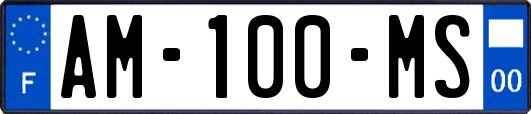 AM-100-MS