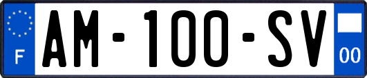 AM-100-SV