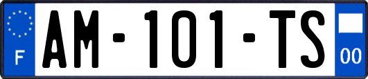 AM-101-TS