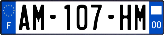 AM-107-HM