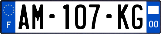 AM-107-KG