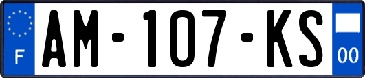 AM-107-KS