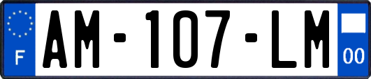 AM-107-LM