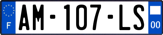 AM-107-LS