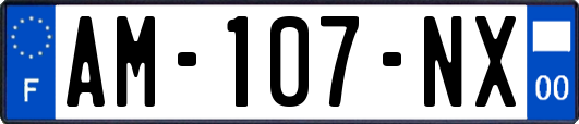 AM-107-NX