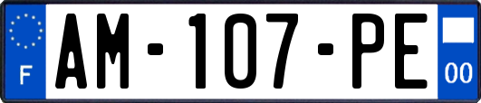 AM-107-PE