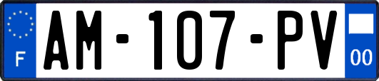 AM-107-PV