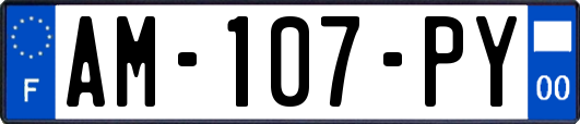 AM-107-PY