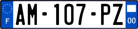 AM-107-PZ