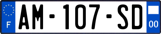 AM-107-SD