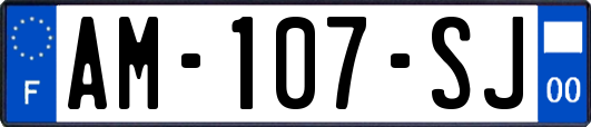 AM-107-SJ