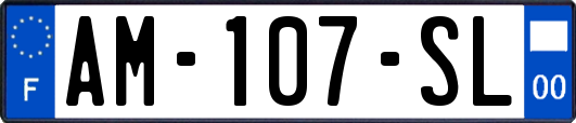AM-107-SL