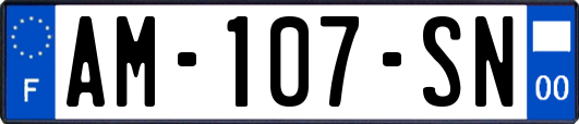 AM-107-SN