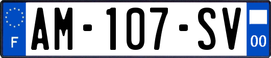 AM-107-SV