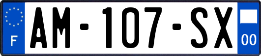 AM-107-SX