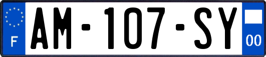 AM-107-SY