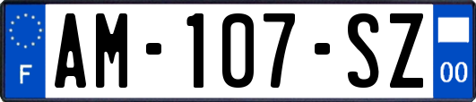 AM-107-SZ