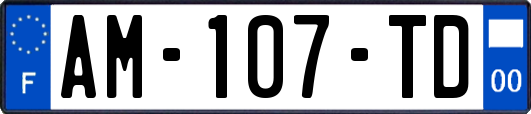 AM-107-TD