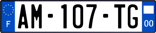 AM-107-TG