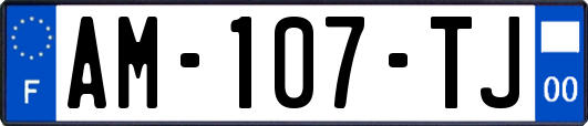 AM-107-TJ