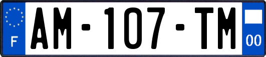 AM-107-TM