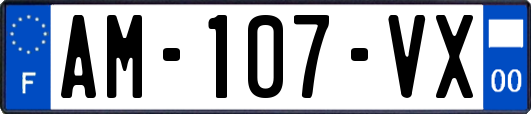 AM-107-VX