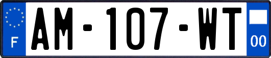 AM-107-WT