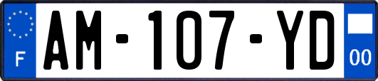 AM-107-YD