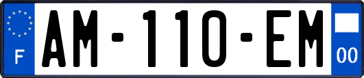 AM-110-EM