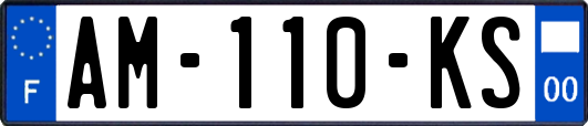 AM-110-KS