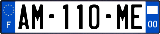 AM-110-ME