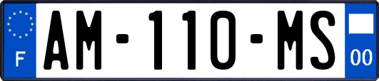 AM-110-MS