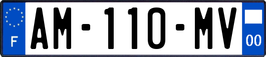 AM-110-MV