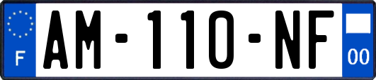 AM-110-NF